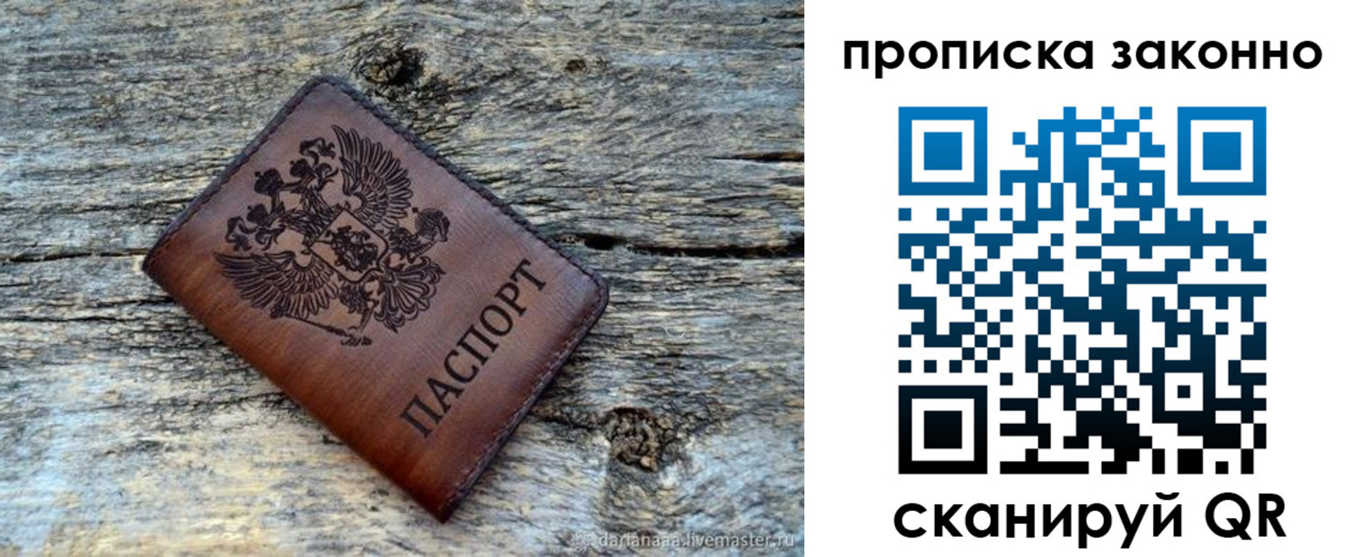 прописка для школы в Ленинградской области